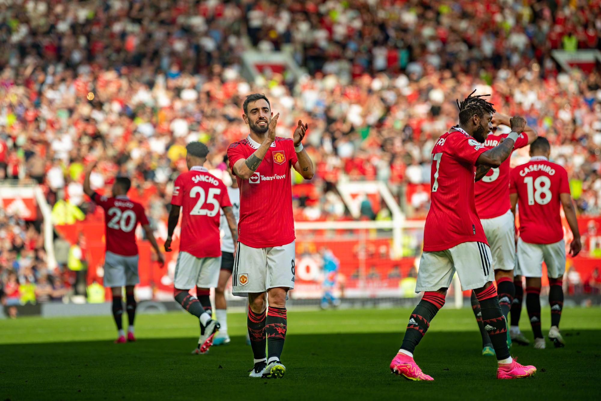 成为坚韧不 成为坚韧不